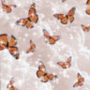 Meet your Posher, Aphrodite